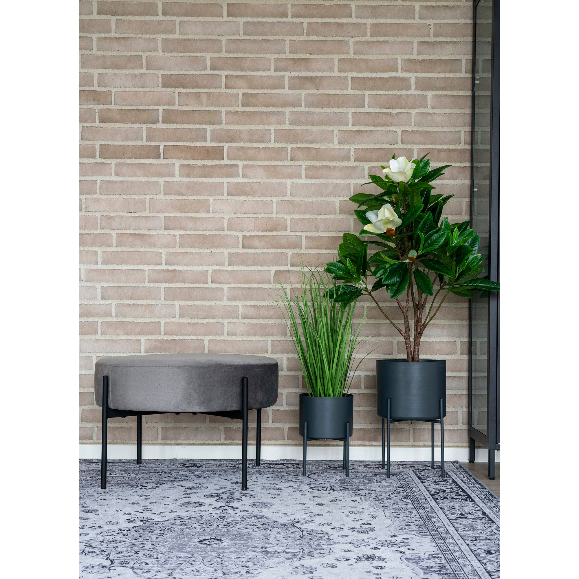 Havana Vloerkleed - Zwart/wit 160x230 cm