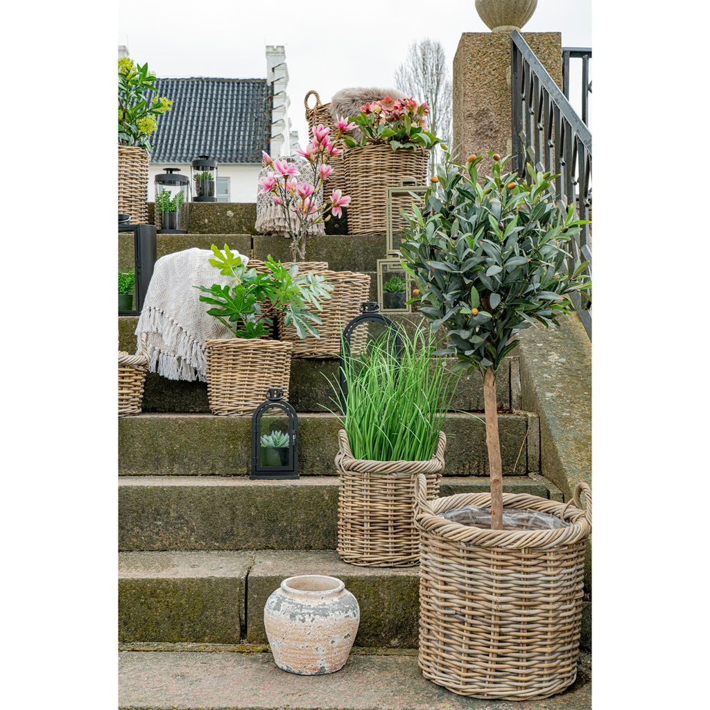 Gili Baskets - Baskets, rattan cube, natural, set of 2