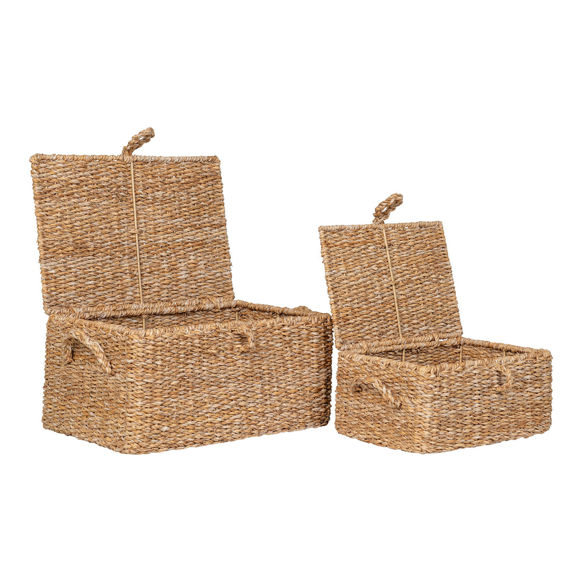 Seagrass/metal baskets Bogra - set of 2