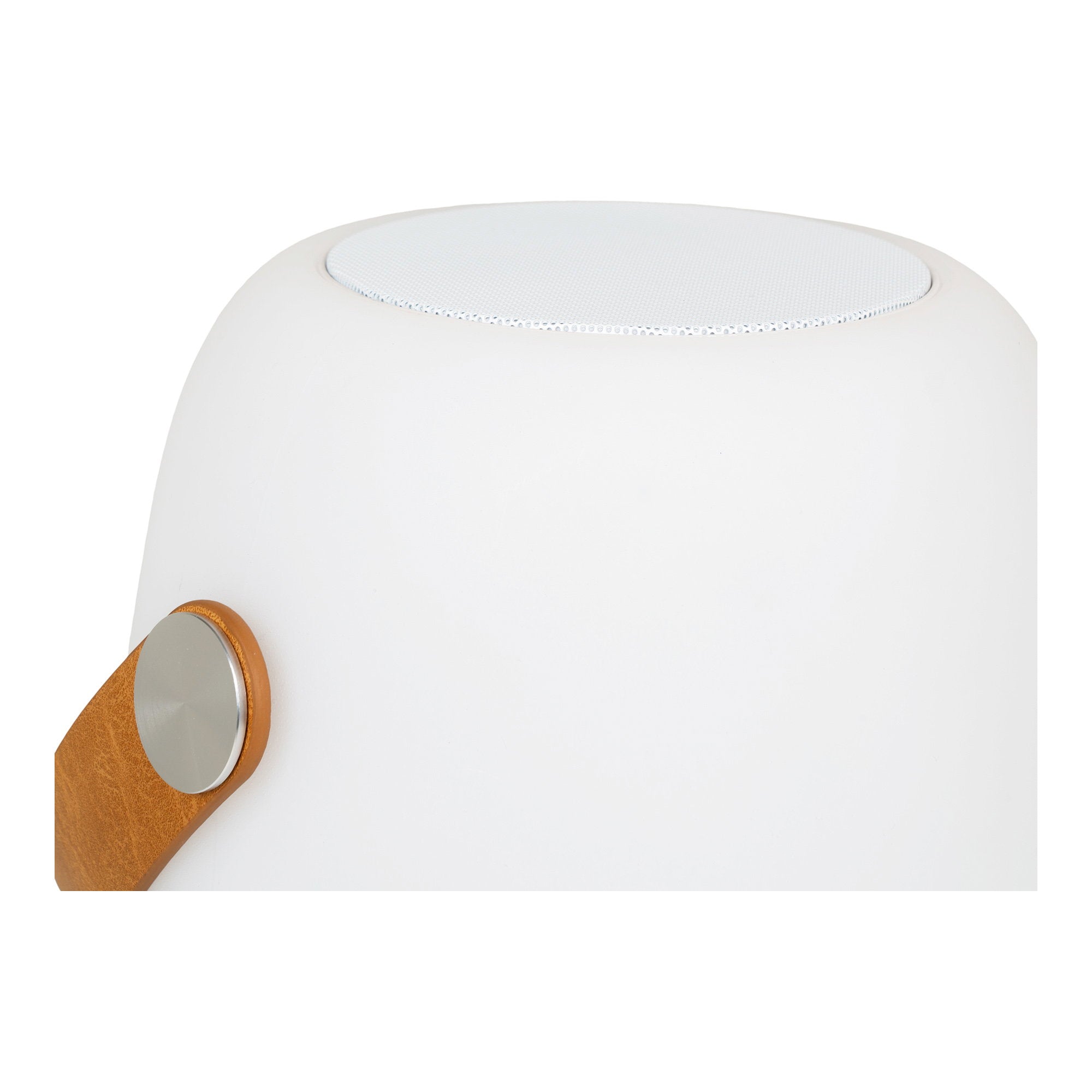 Cardiff LED Lamp - Lamp met draagriem, bluetoothspeaker, oplaadbaar, wit
